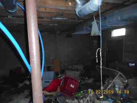 9226 Forrer (49)_m.jpg